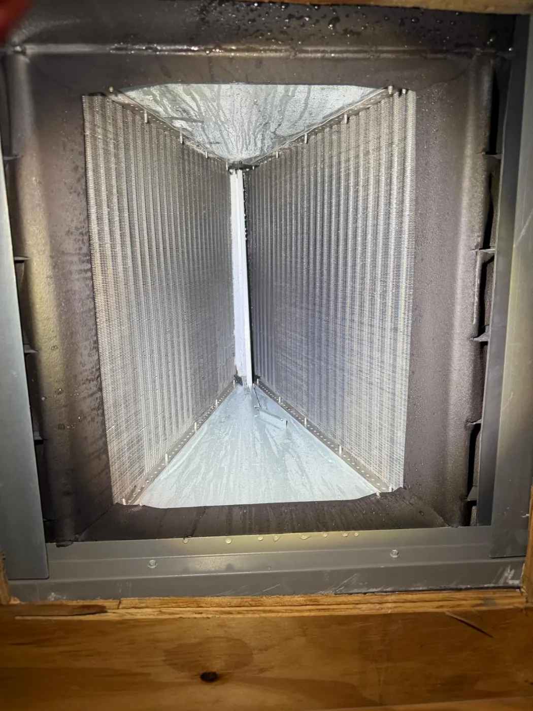 A clean coil inside the plenum, seen from below in the attic