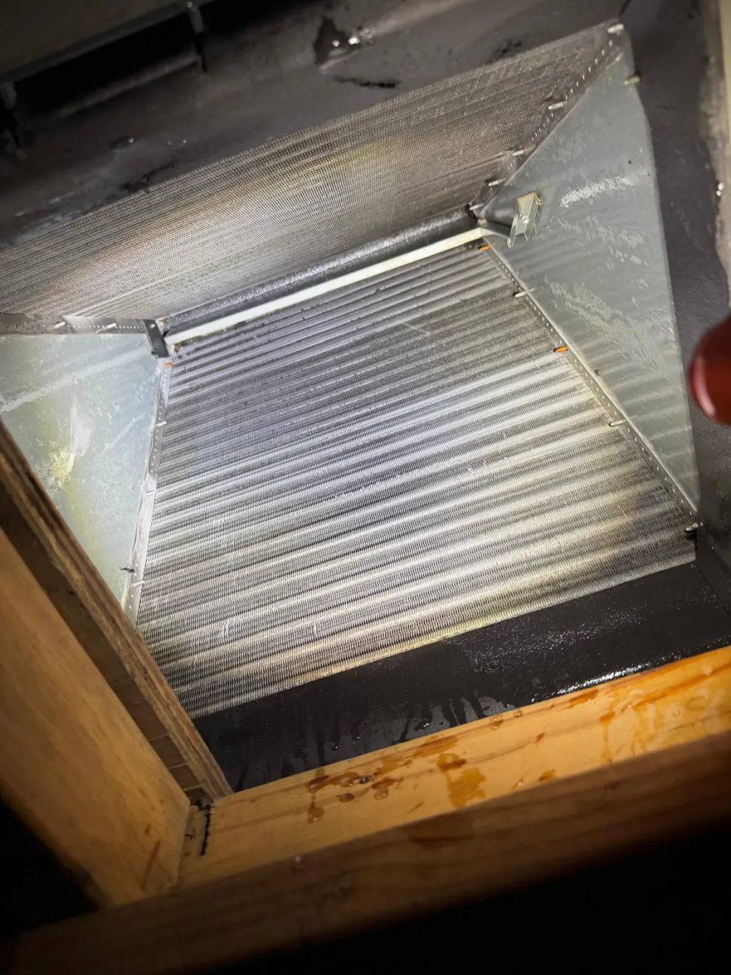 A clean evaporator coil, already mounted inside the plenum